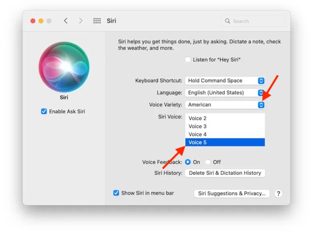 Choose voice variety and voice number in Mac for Siri gender neutral voice