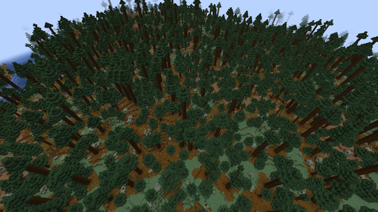 Circular old growth pine taiga biome in Minecraft