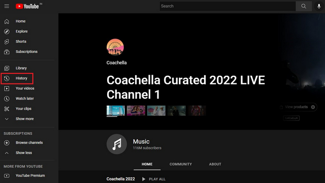 How to see your youtube history from years online ago