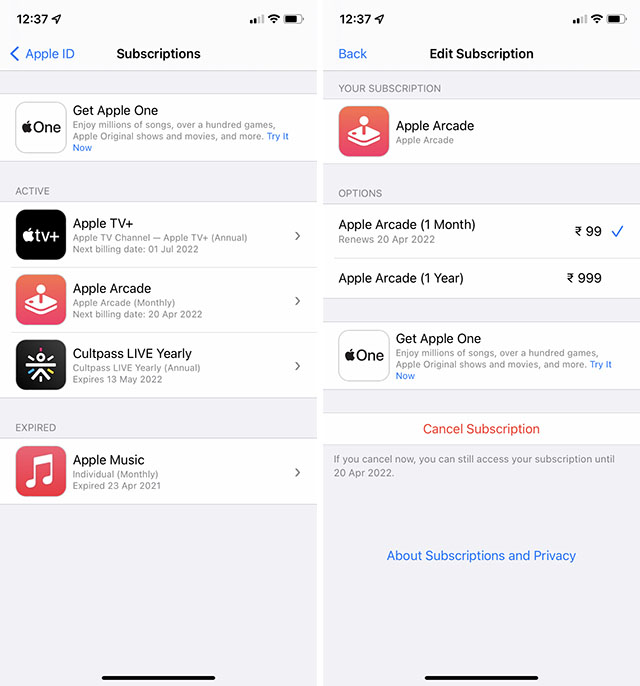 list of subscriptions iphone settings app