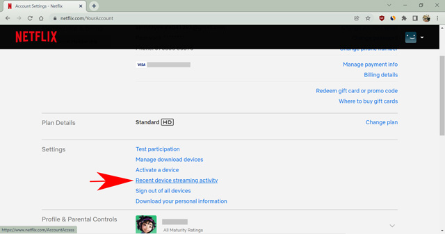 recent device streaming activity on Netflix