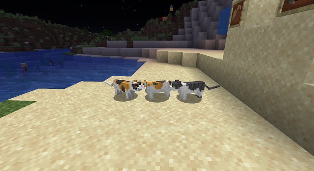  how to tame a cat in minecraft bedrock and java edition 2022 beebom