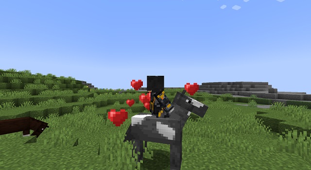 menjinakkan kuda di Minecraft