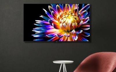 xiaomi oled vision launched in india