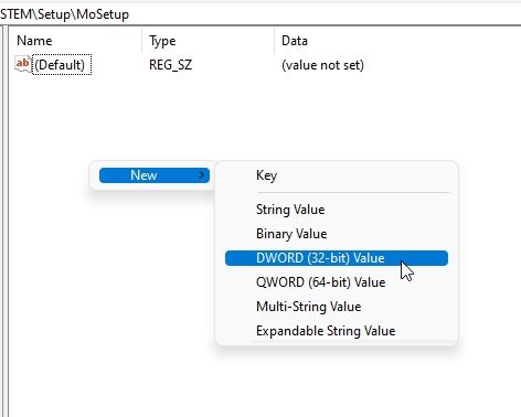 3. Bypass TPM and CPU Checks to Install Windows 11 Update