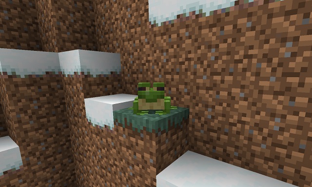 Minecraft Frog with Black and White Eyes, Green Mouth, Bright