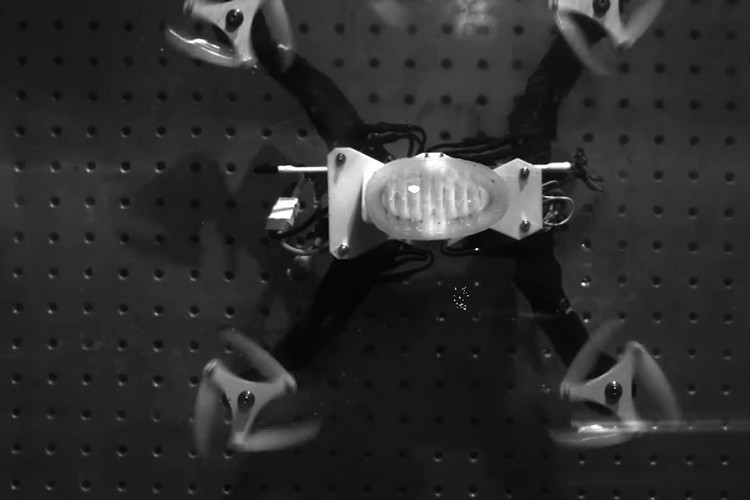 Check out This One-of-Kind Drone That Can Fly as Well as Swim Underwater!