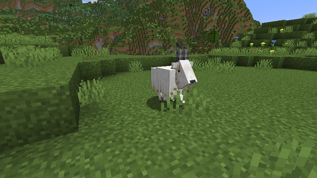 Chèvres à minecraft