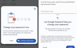 Google Assistant Can Now Automatically Change Risky Passwords in Chrome