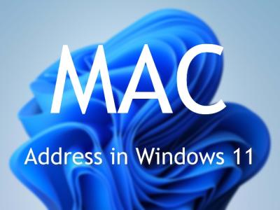 How to Find Your MAC Address in Windows 11: 5 Different Methods