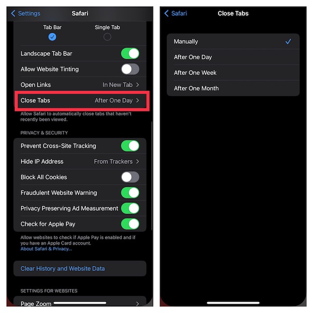 Disappearing Safari Tabs on iPhone iPad 7 Fixes to Try Beebom