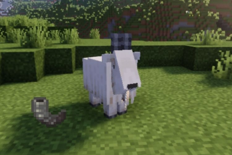 Minecraft Goats Taming, reproduction, cultive tout ce que vous devez savoir