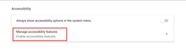 Chromebook Motor Impairment Accessibility Feature