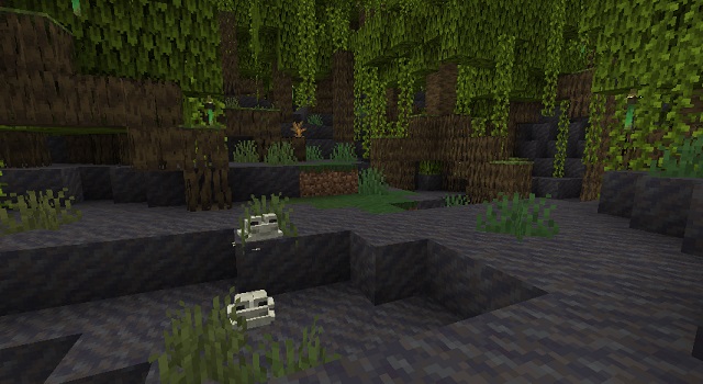 Minecraft seed: Mangrove swamp, jungle and mutated savanna close