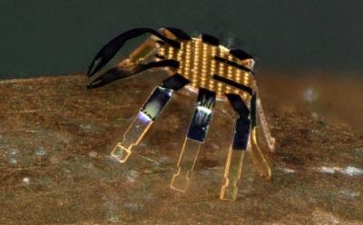 World's Smallest Remote-Controlled Robot Looks like a Tiny Crab