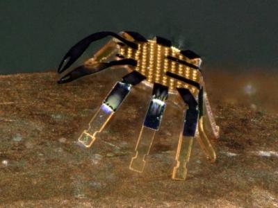 World's Smallest Remote-Controlled Robot Looks like a Tiny Crab
