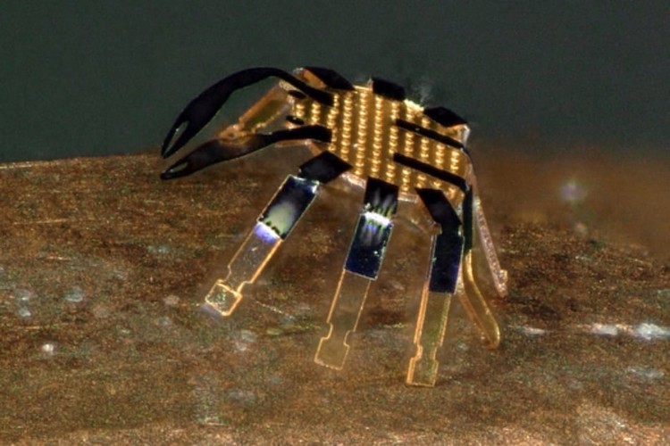 World's Smallest Remote-Controlled Robot Looks like a Tiny Crab