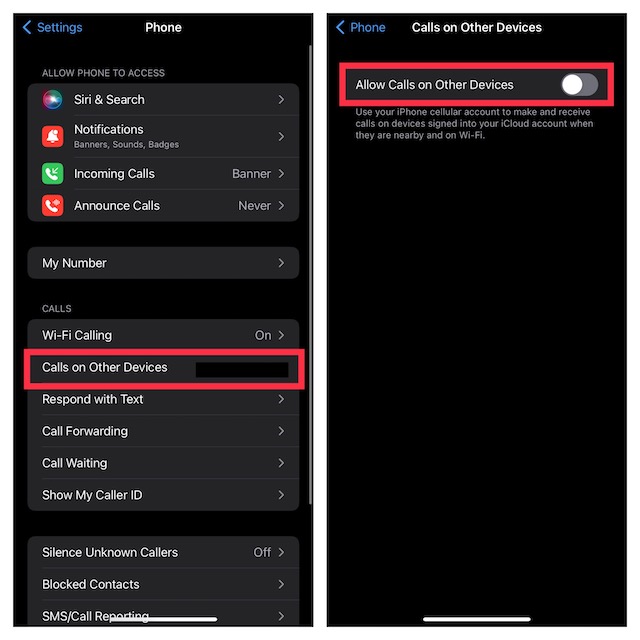 Turn Off Receiving Calls on iPhone