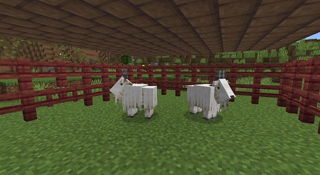 Two Goats in Minecraft - How to Make a Goat Farm in Minecraft