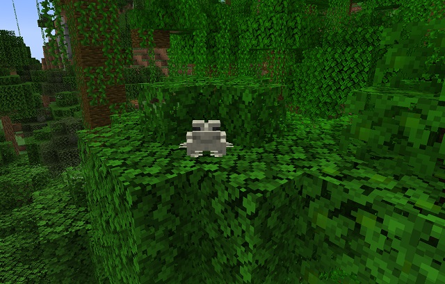 Where to Find Frogs in Minecraft 1.19 (2022)