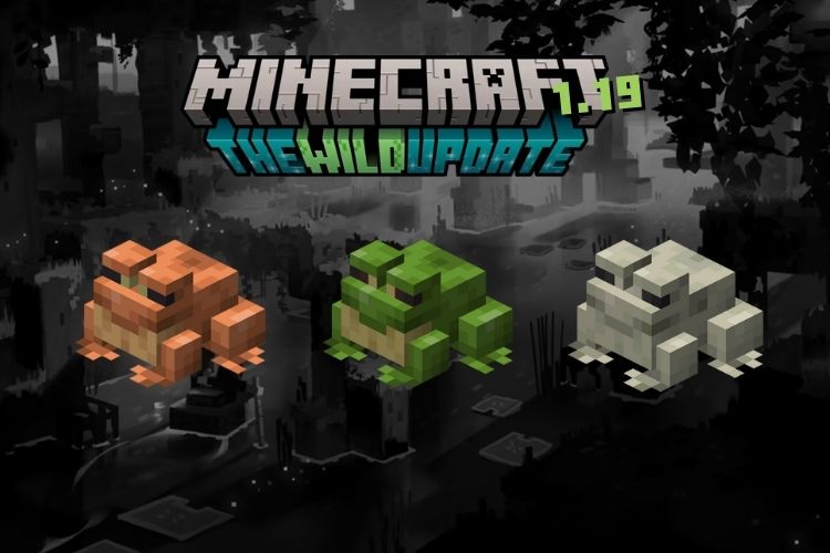 Kde najít žáby v Minecraft 1.19 Všechny varianty