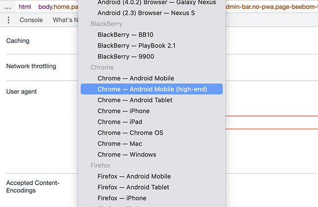 seleziona il dispositivo mobile per passare al sito web Chrome Mobile