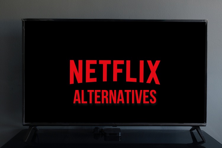 20 Best Netflix Alternatives in 2023 (Free and Paid) | Beebom