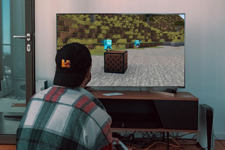 20 Best Minecraft 1.19 Seeds for PS5 and Xbox (2022) Beebom