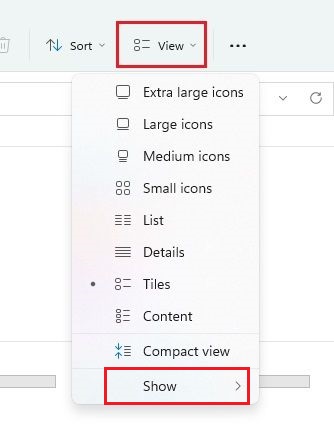 Show File Extensions in Windows 11 From File Explorer