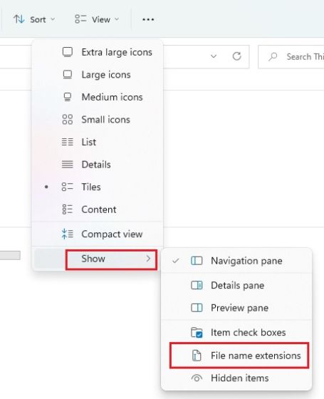 Show File Extensions in Windows 11 From File Explorer