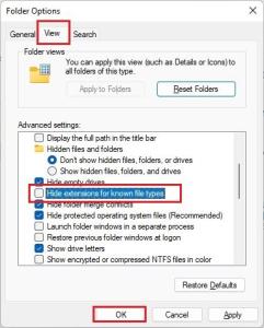 How to Show File Extensions in Windows 11 (4 Methods) | Beebom