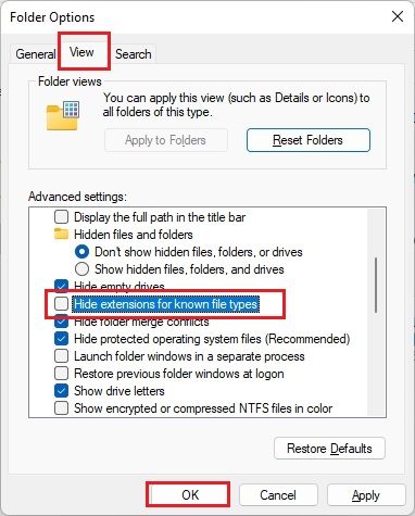 Show File Extensions in Windows 11 From File Explorer Options