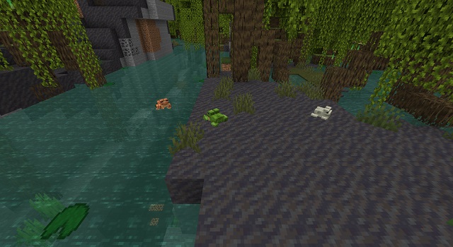 All types of frogs in Minecraft