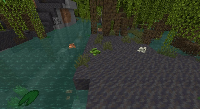 Minecraft Frogs: Everything You Need to Know (June 2022)