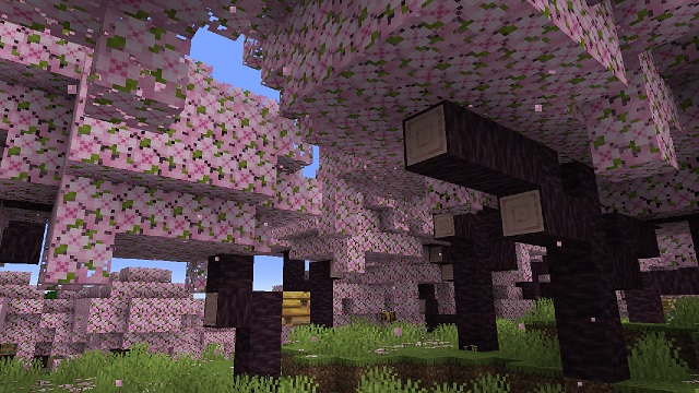 Cherry Blossom Biome