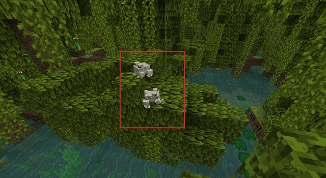 Frogs in Mangrove Swamps for Froglight in Minecraft