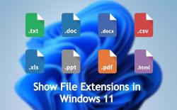 How to Show File Extensions in Windows 11 (4 Methods)