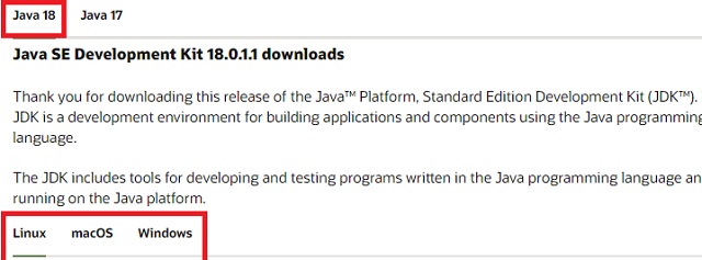 Java files on Oracle - Fix JNI Errors in Minecraft