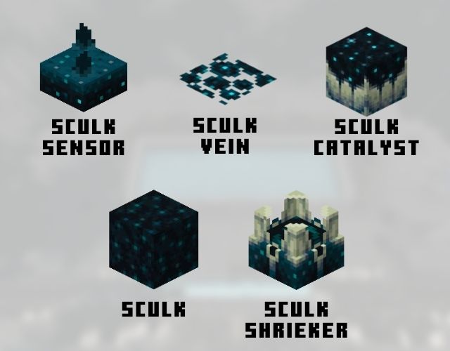 قائمة كتل Sculk في Minecraft