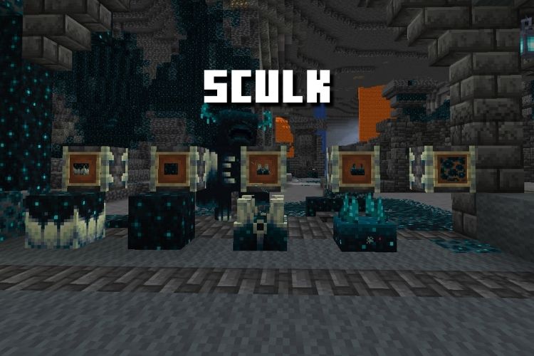 Many have pointed out the similarties between the sculk and the end portal  but I'd like to show how similar the sculk sensor and the warped forest  vegetation looks. : r/MinecraftConspiracies