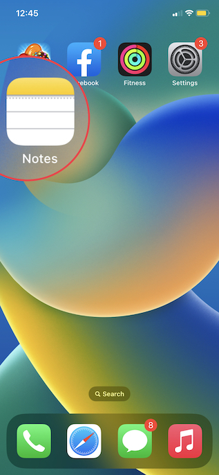 Open Notes app on iPhone