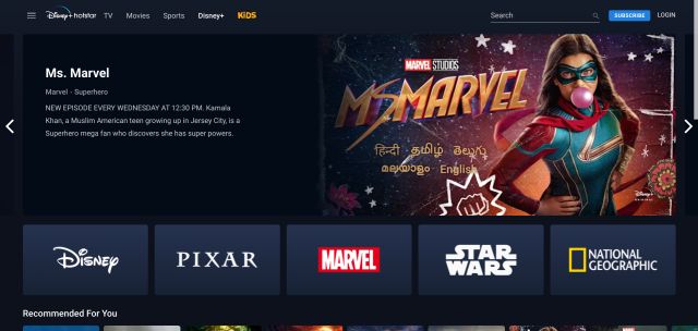 disney+ Best Netflix Alternatives