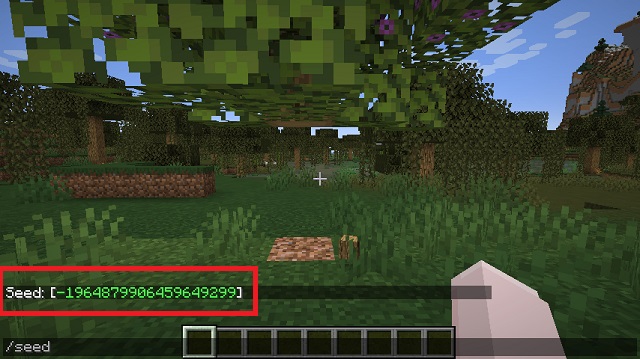 Seed Code command in Minecraft