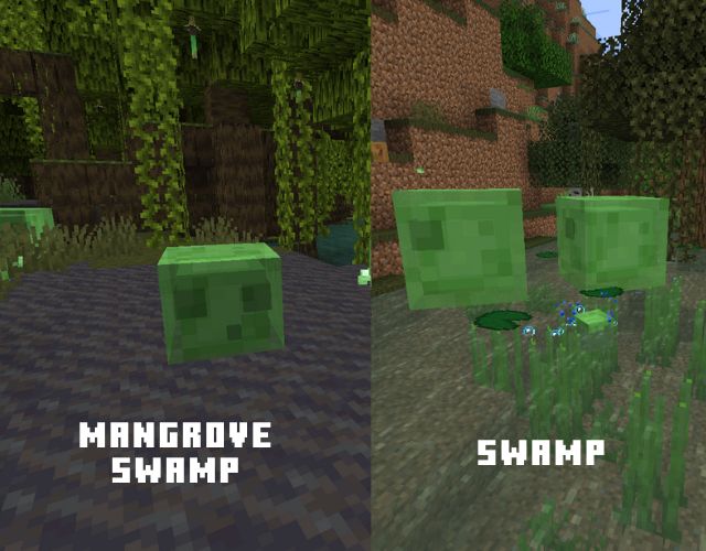 Slime in Swamp Biomes - 