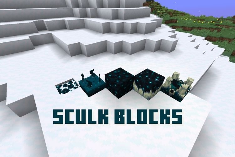 All Types of Sculk Blocks in Minecraft 1.19 Explained! (2022) Beebom