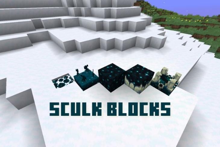 Types of Sculk Blocks in Minecraft 1.19