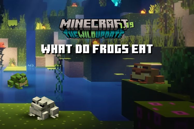 What Do Frogs Eat in Minecraft - Explained!