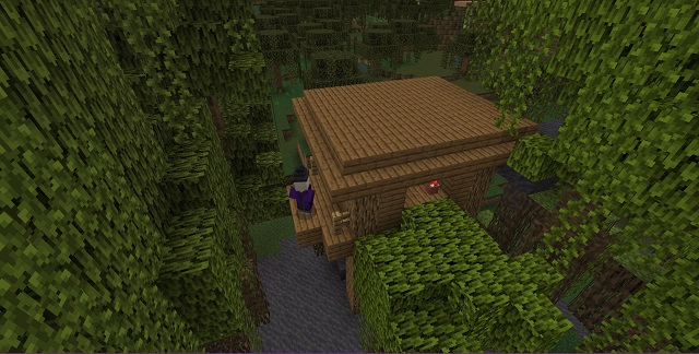 Minecraft seed: Mangrove swamp, jungle and mutated savanna close