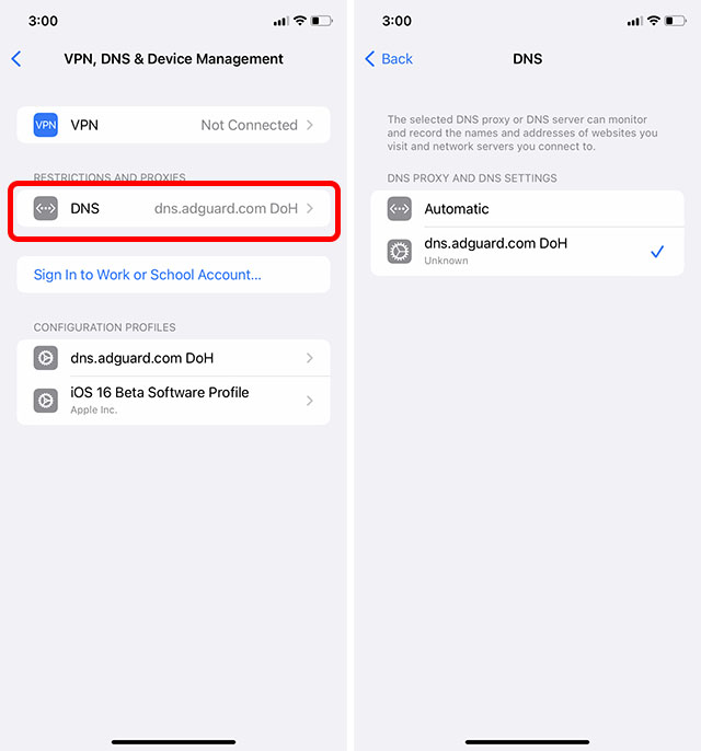 dns settings in iphone