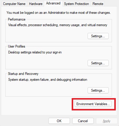 environment variables